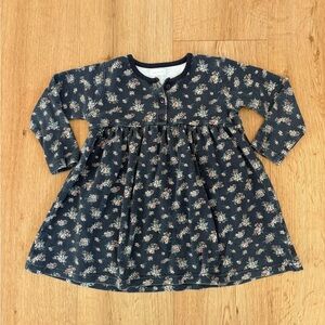 Jamie Kay 3T blue floral long sleeve dress